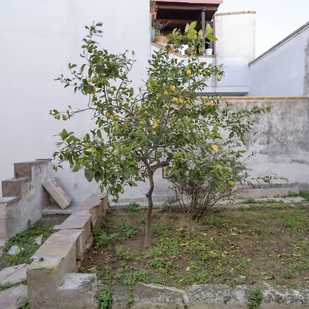 Click & Dream * Torchiarolo